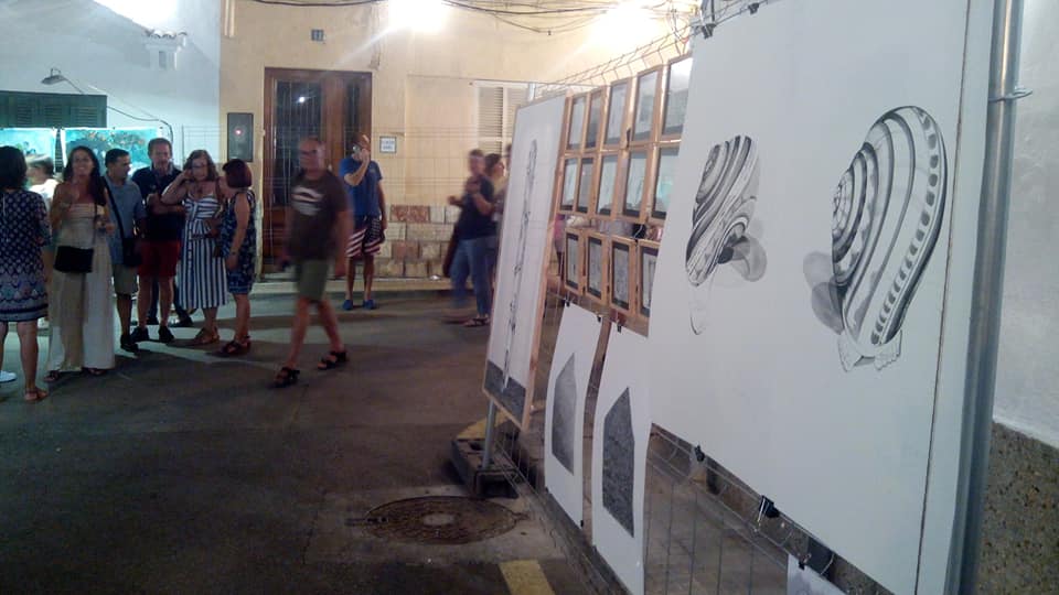 Exposición Son Carrió